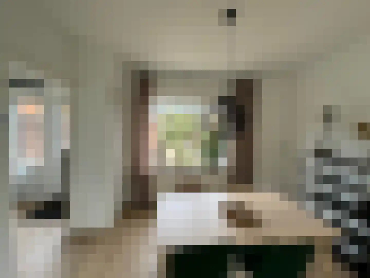 Schering 5 Laren thumbnail 10