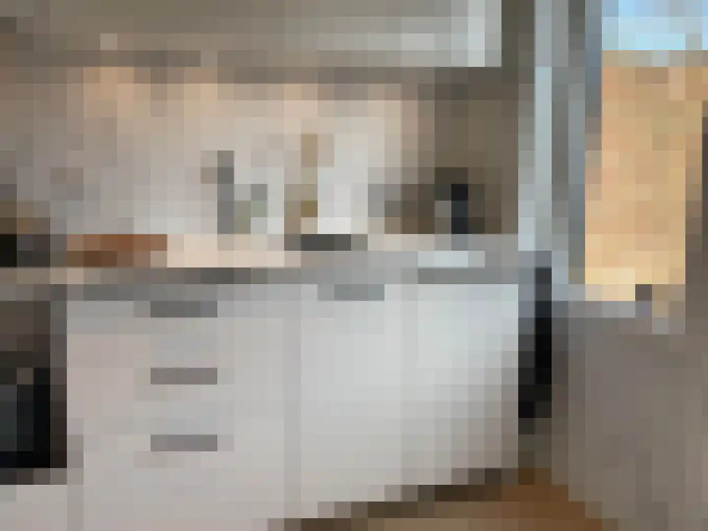 Schering 5 Laren thumbnail 11