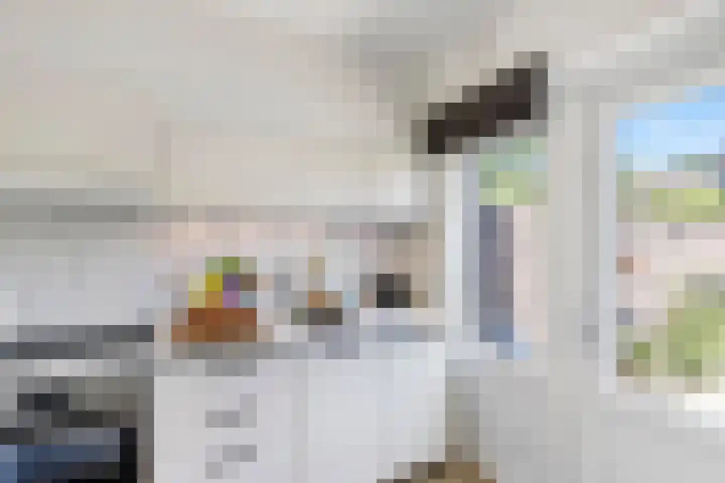 Schering 5 Laren thumbnail 12