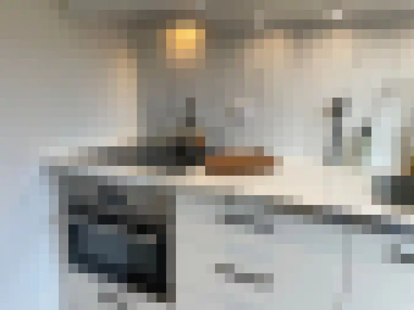 Schering 5 Laren thumbnail 12