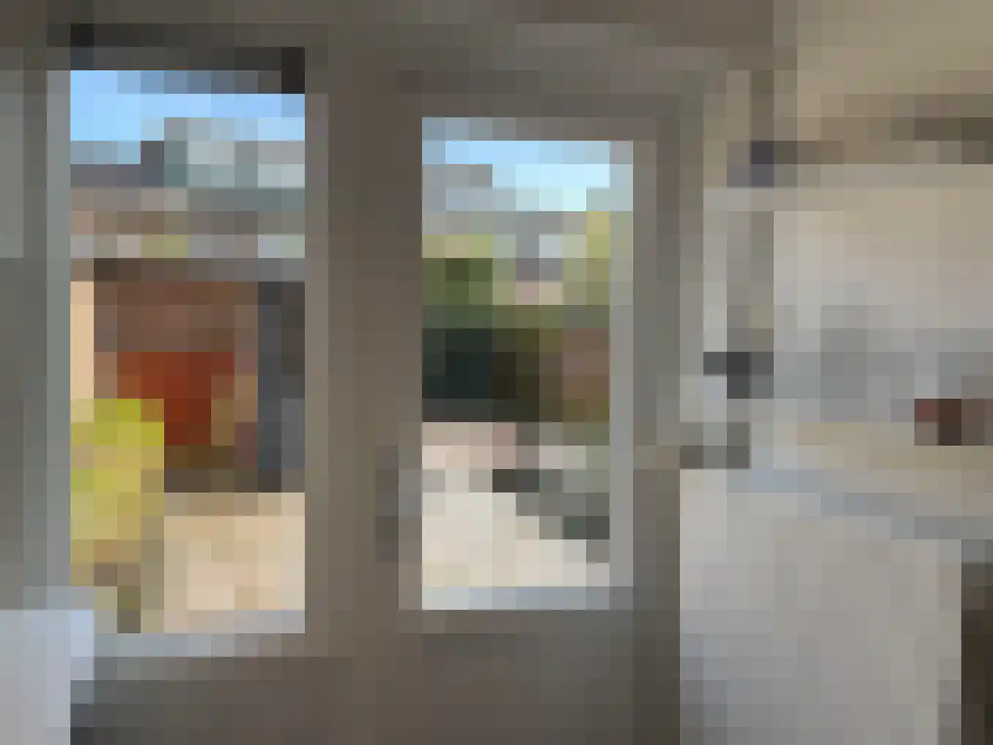Schering 5 Laren thumbnail 13