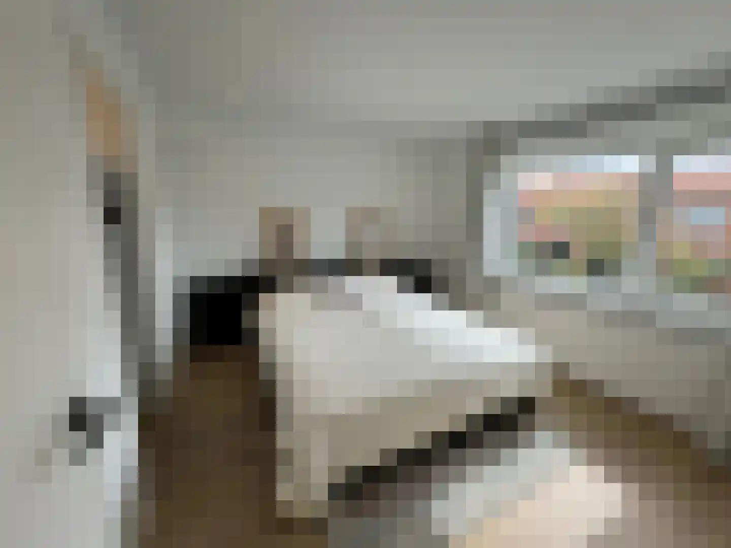 Schering 5 Laren thumbnail 14