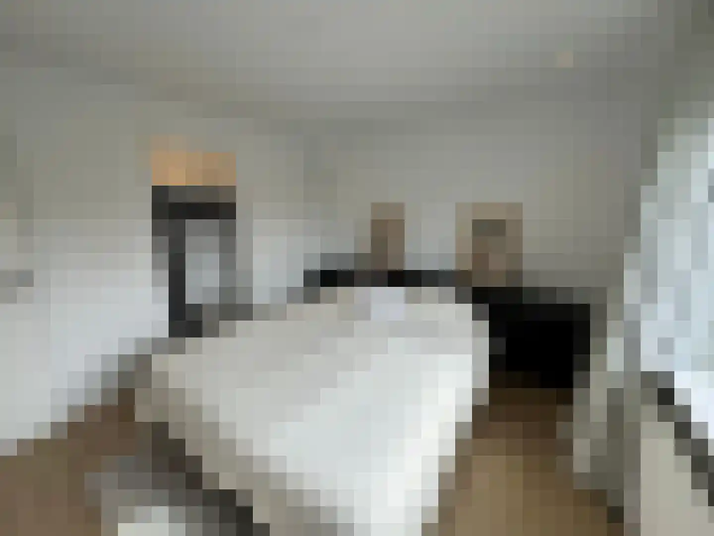 Schering 5 Laren thumbnail 15