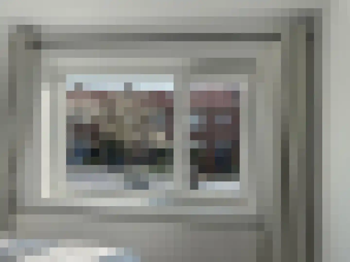 Schering 5 Laren thumbnail 16