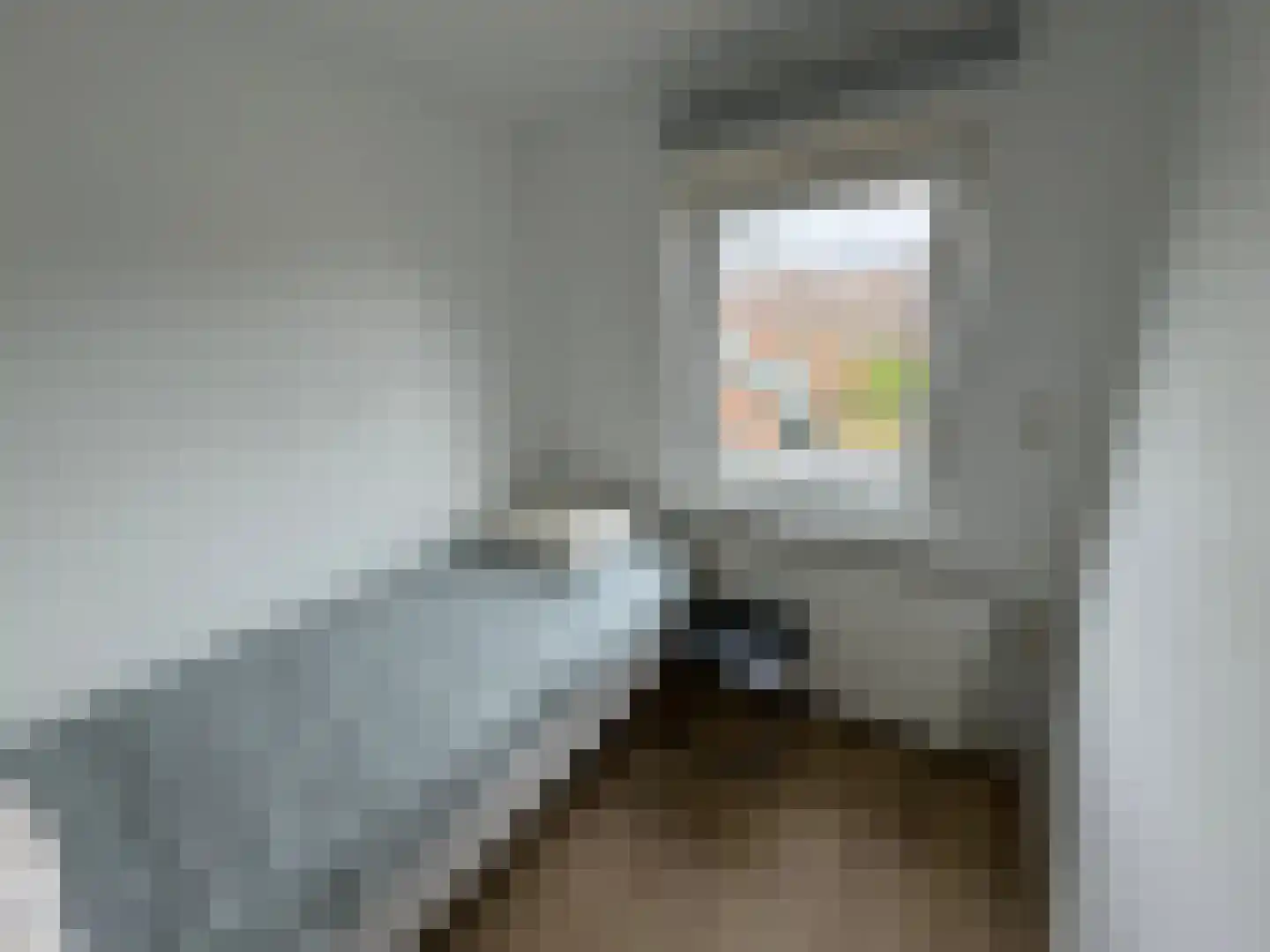 Schering 5 Laren thumbnail 18