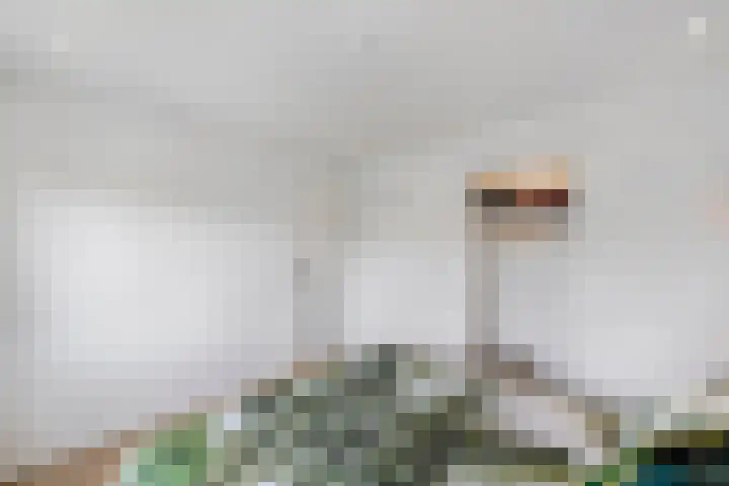 Schering 5 Laren thumbnail 22
