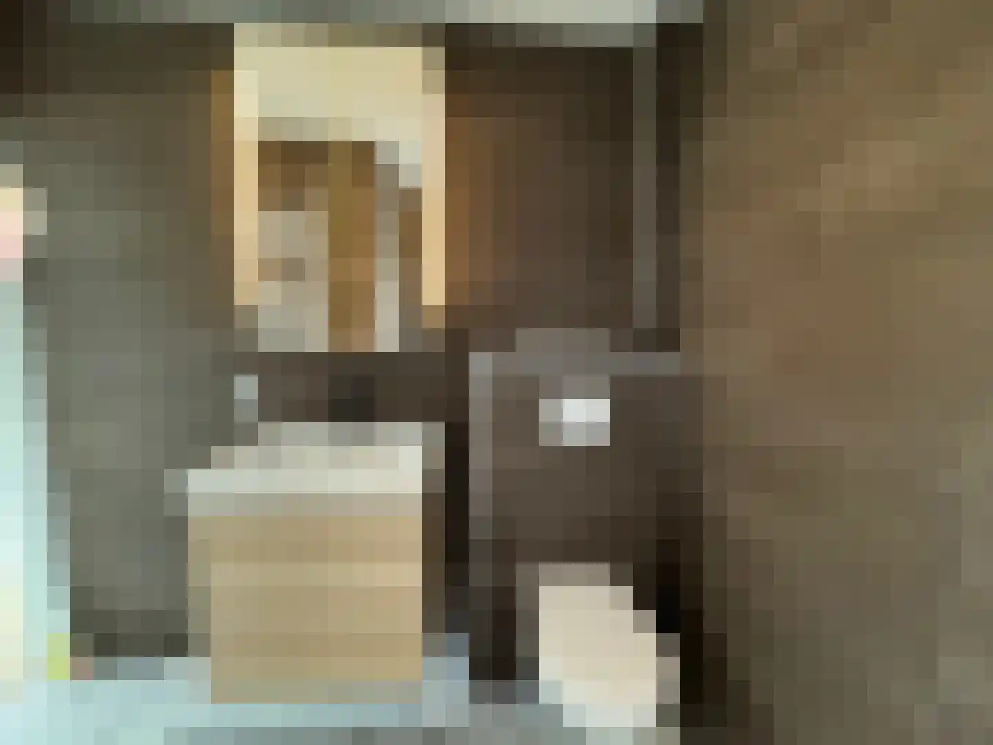 Schering 5 Laren thumbnail 22