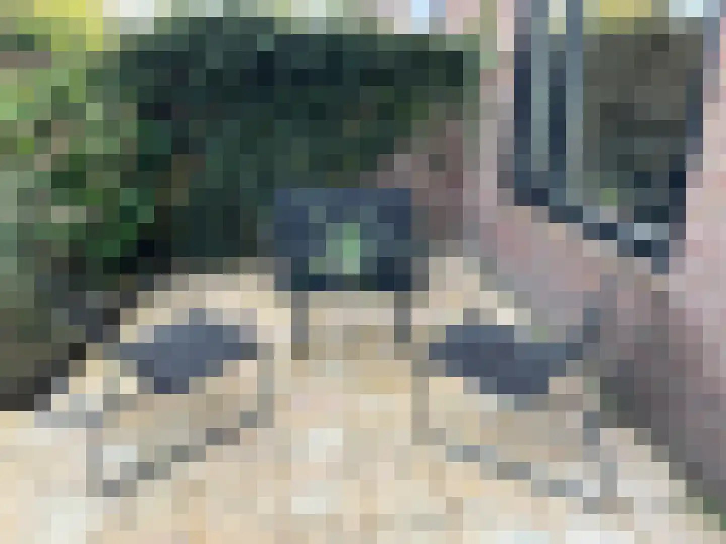 Schering 5 Laren thumbnail 24