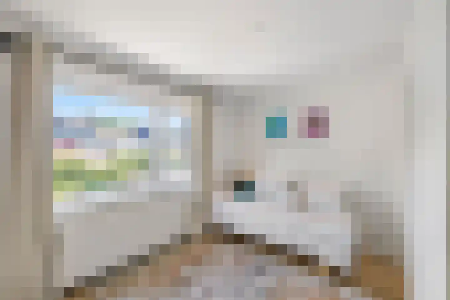 Schering 5 Laren thumbnail 25