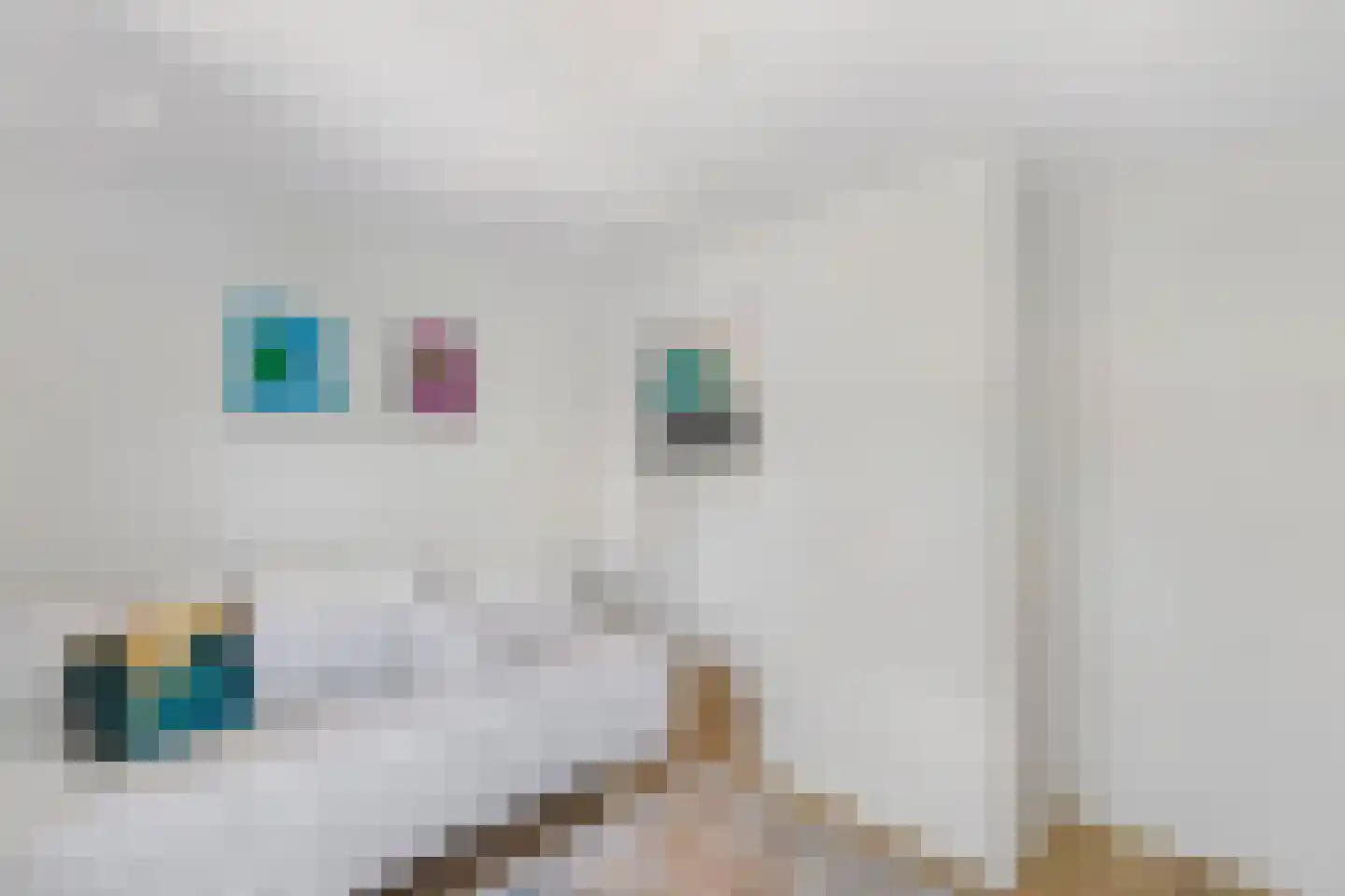 Schering 5 Laren thumbnail 27