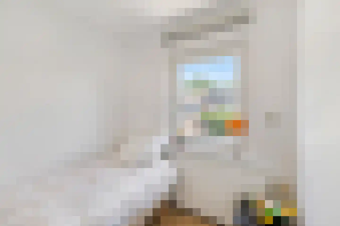 Schering 5 Laren thumbnail 28