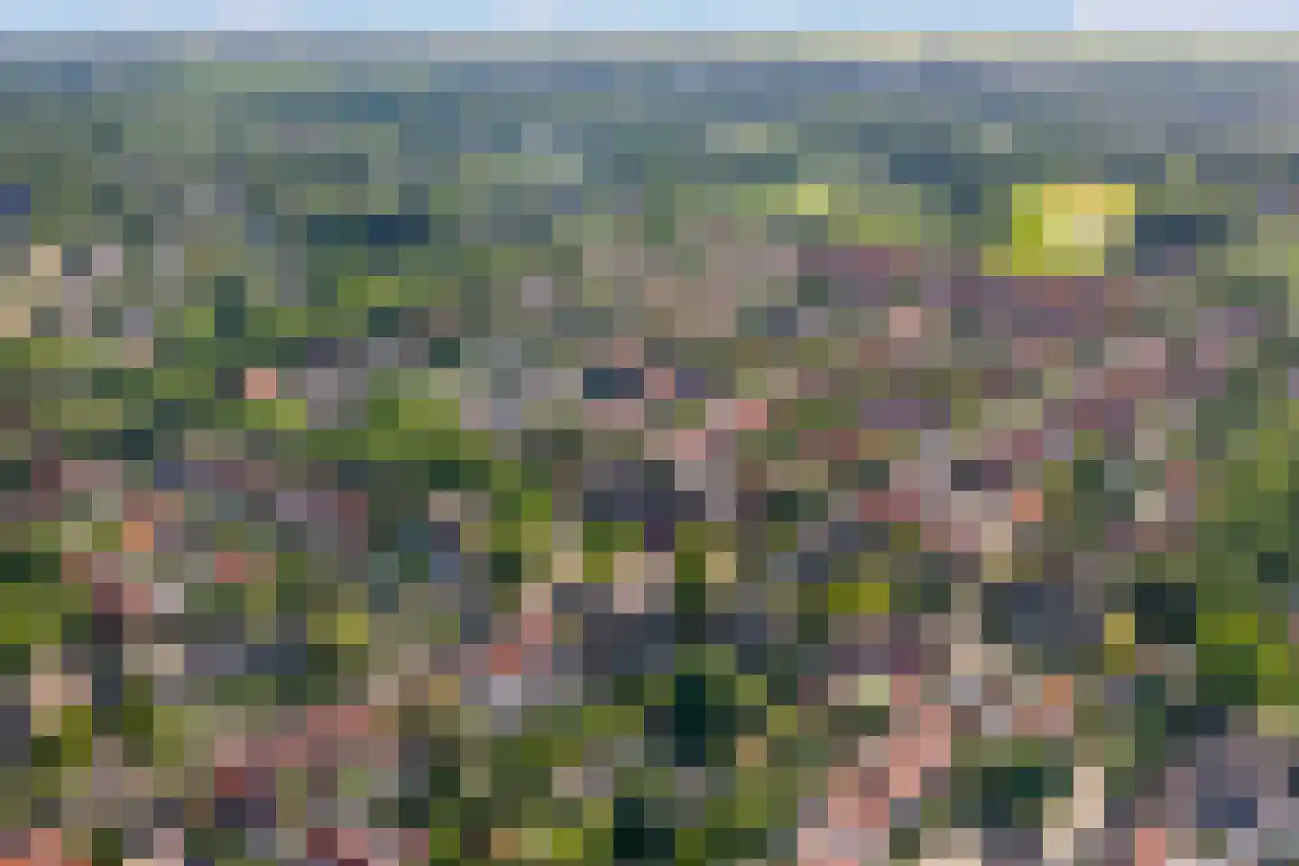 Schering 5 Laren thumbnail 32