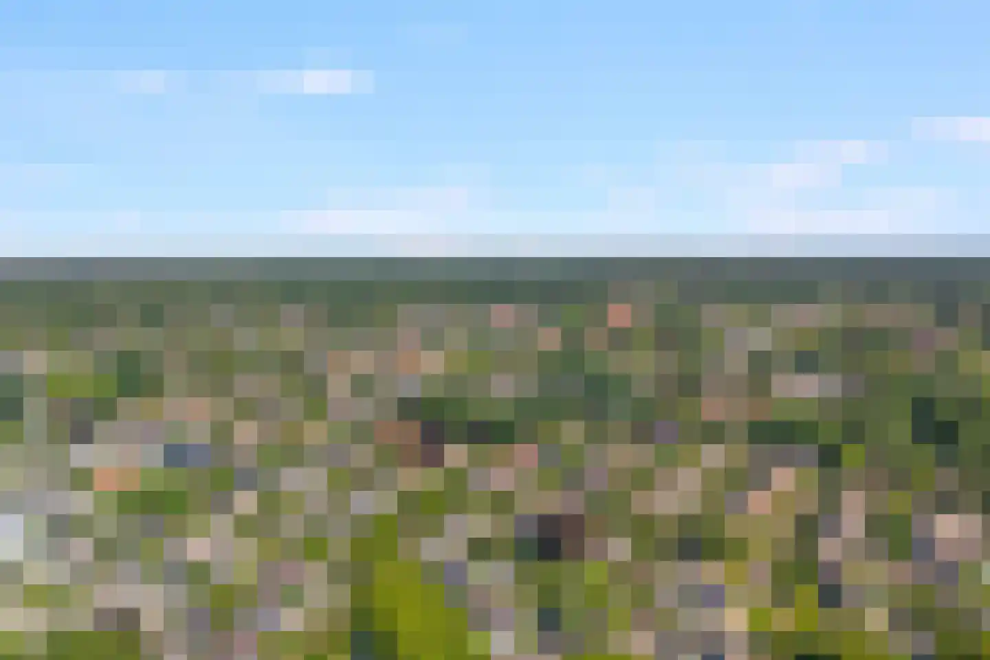 Schering 5 Laren thumbnail 33