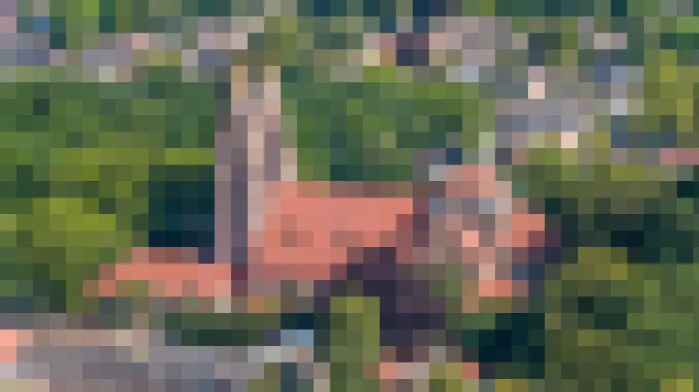 Schering 5 Laren thumbnail 35