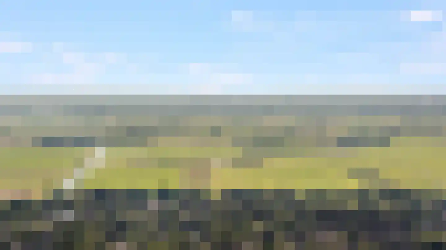 Schering 5 Laren thumbnail 36