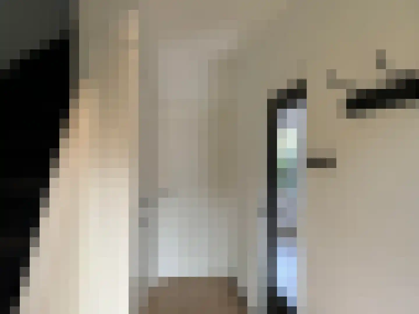 Schering 5 Laren thumbnail 4