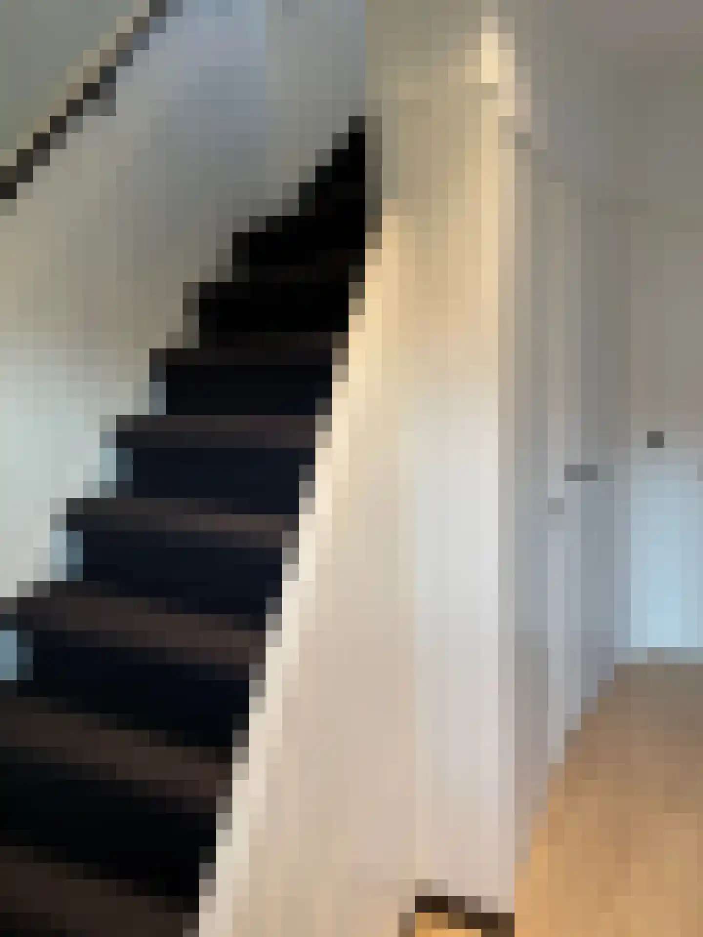Schering 5 Laren thumbnail 5