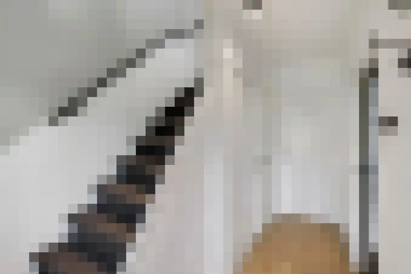 Schering 5 Laren thumbnail 5