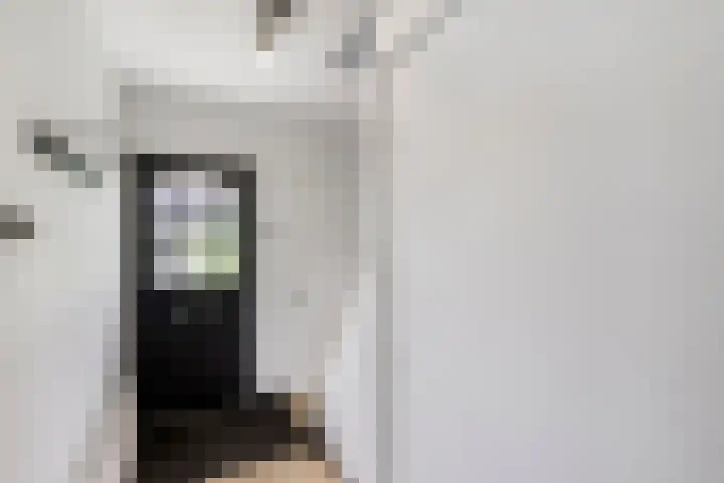 Schering 5 Laren thumbnail 6