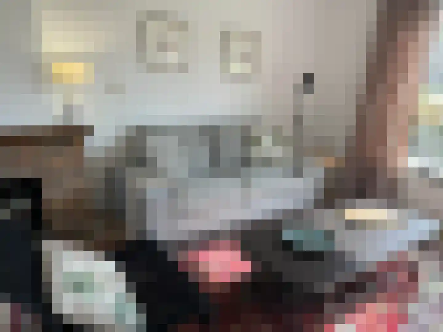 Schering 5 Laren thumbnail 7
