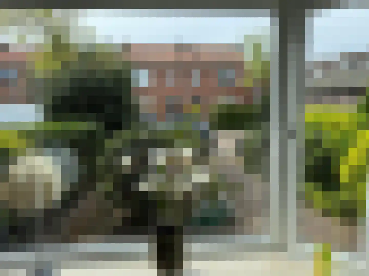 Schering 5 Laren thumbnail 8