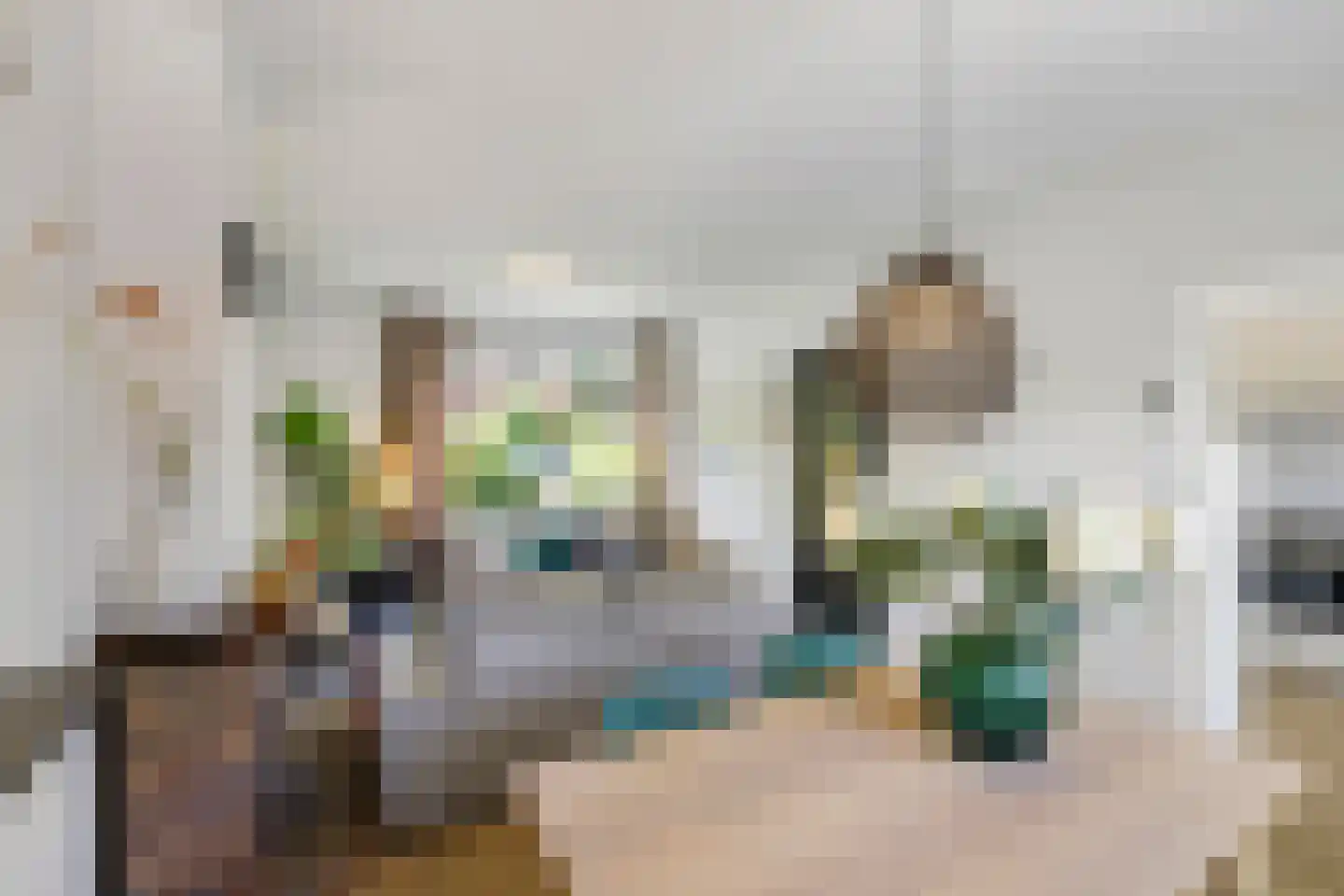 Schering 5 Laren thumbnail 8