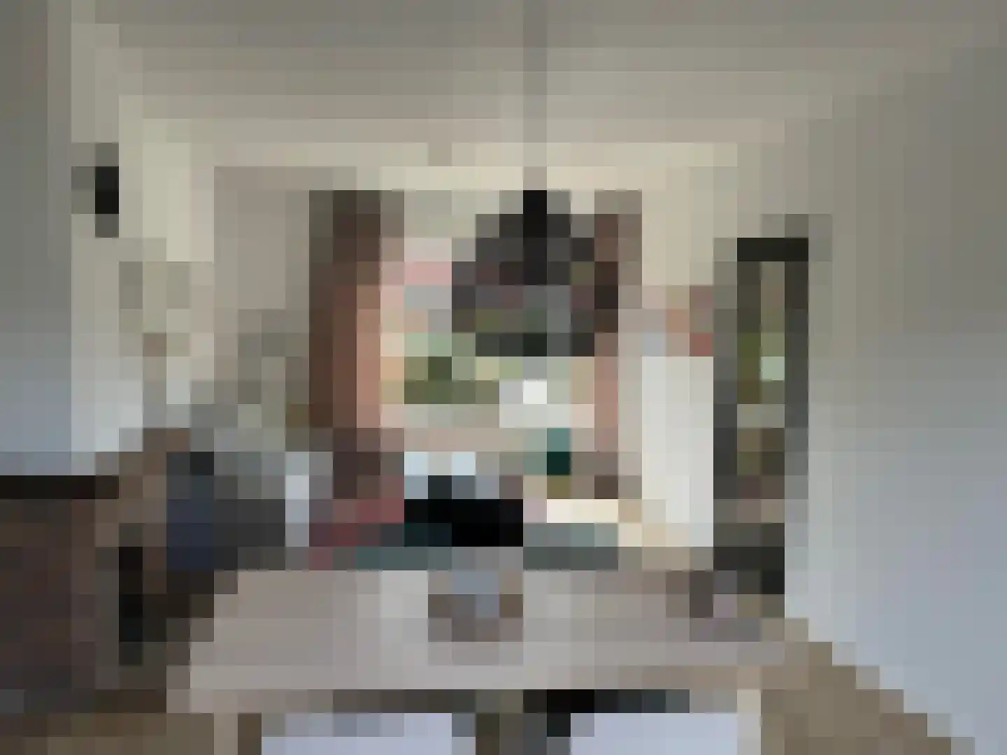 Schering 5 Laren thumbnail 9