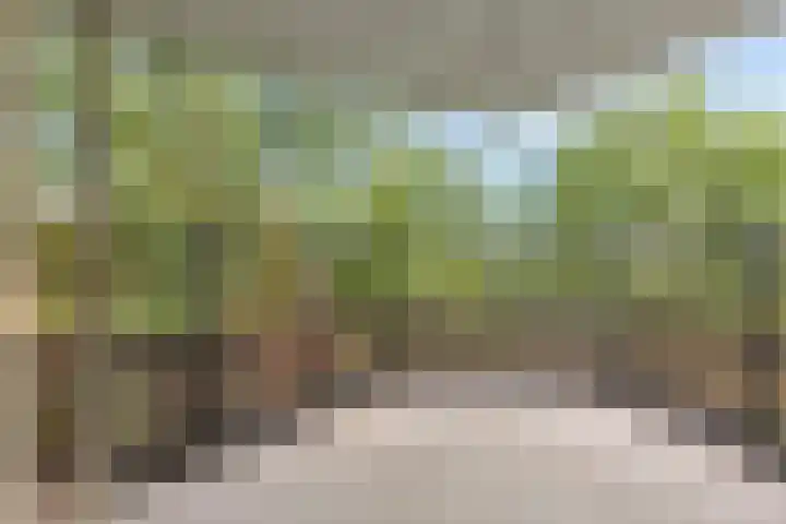 Schering 59 Wierden thumbnail 14