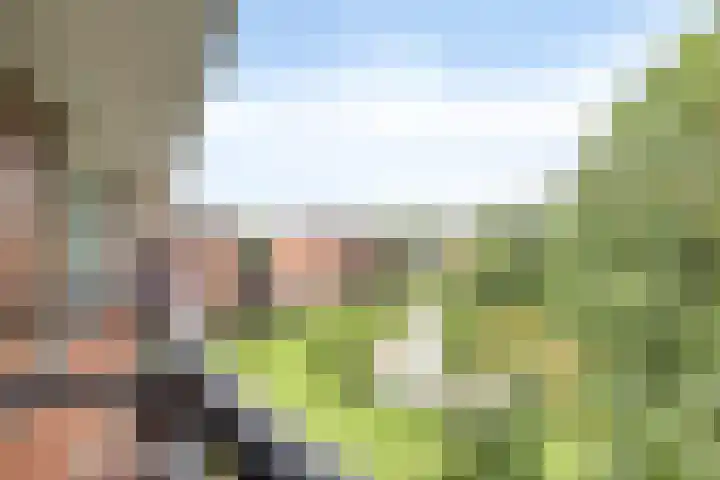 Schering 59 Wierden thumbnail 15