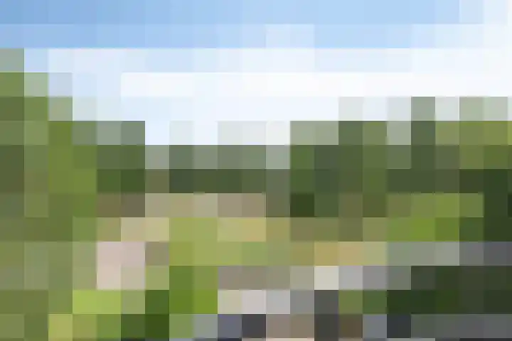 Schering 59 Wierden thumbnail 16