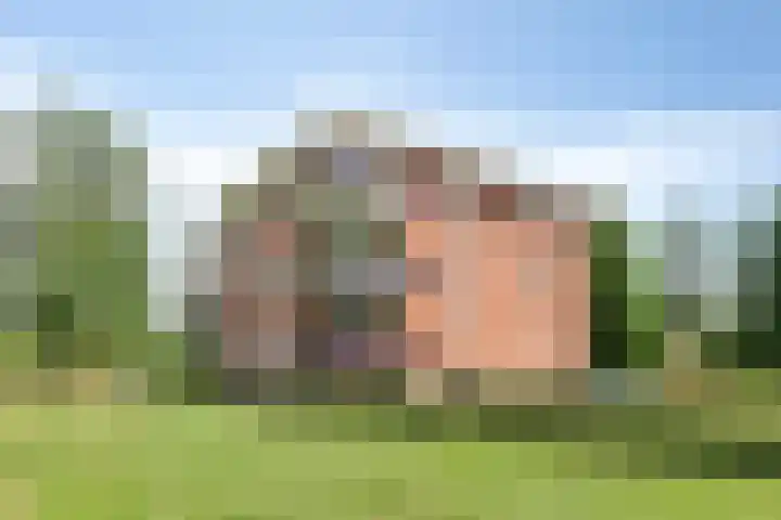Schering 59 Wierden thumbnail 23