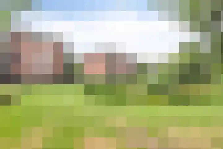 Schering 59 Wierden thumbnail 24