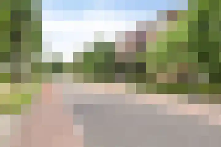 Schering 59 Wierden thumbnail 26