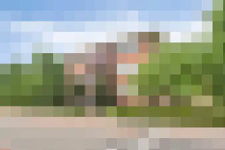 Schering 59 Wierden thumbnail 29