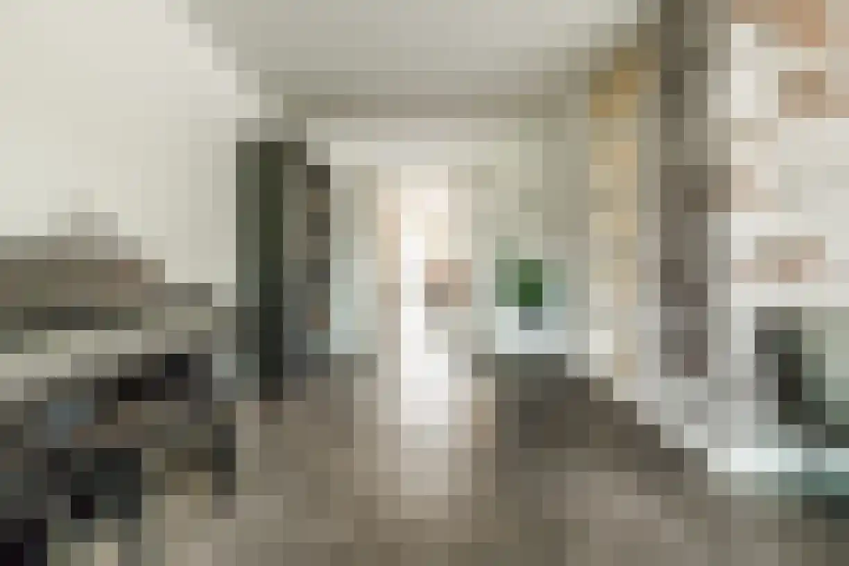 Schering 7 Wierden thumbnail 10