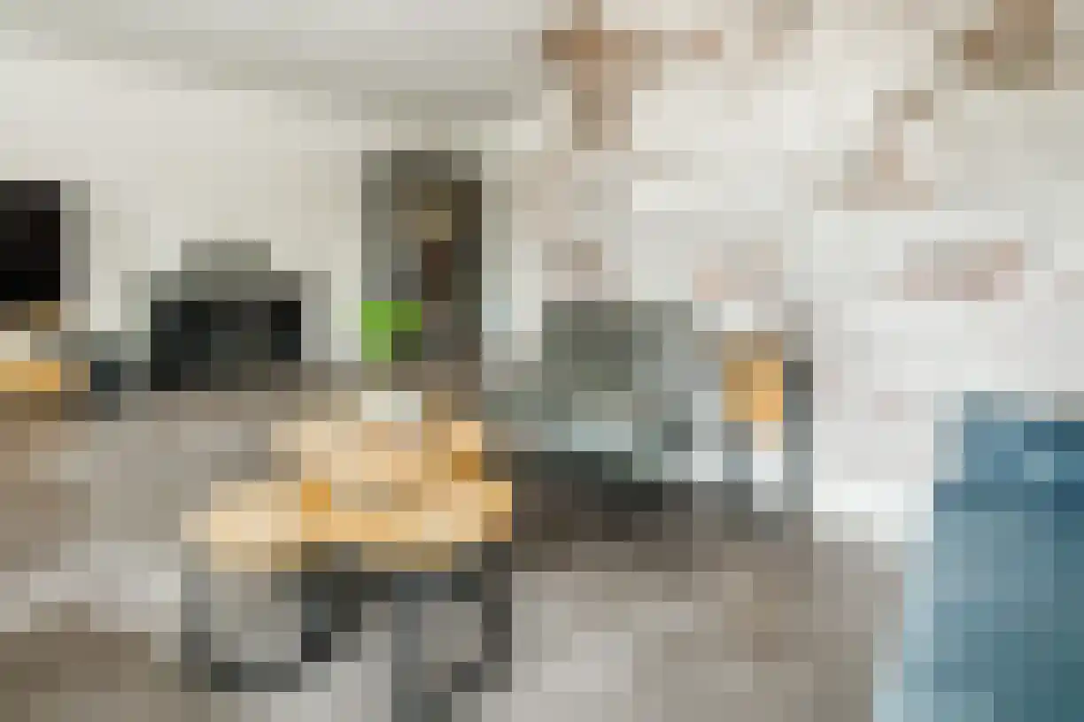 Schering 7 Wierden thumbnail 11