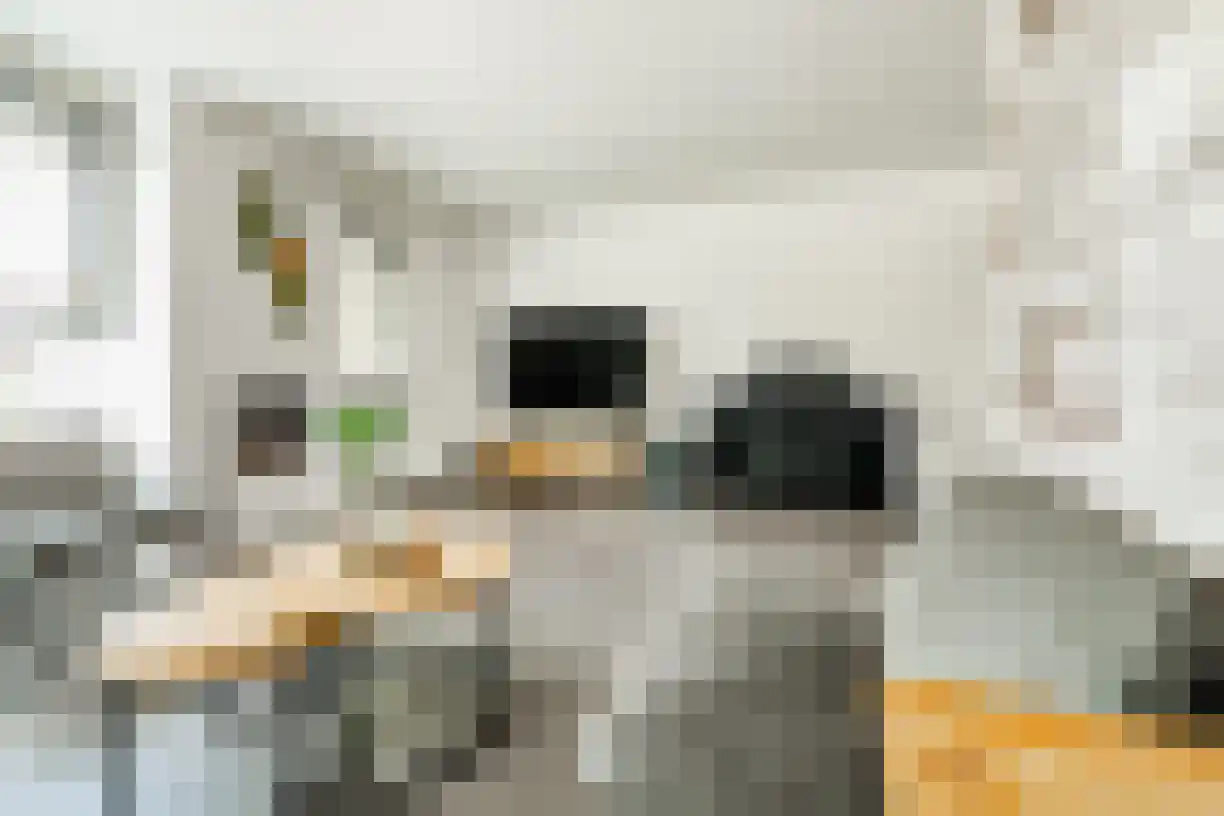 Schering 7 Wierden thumbnail 12