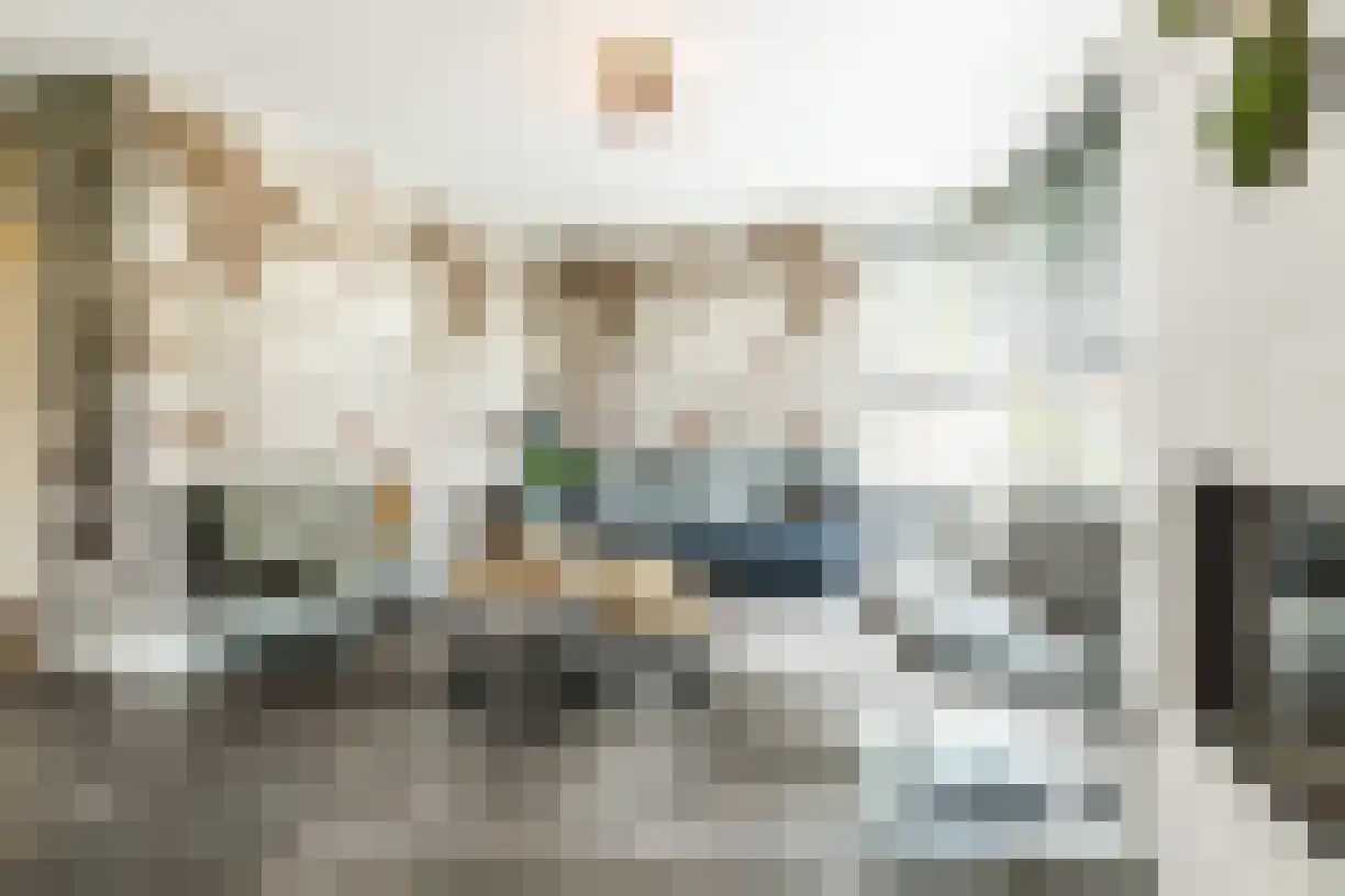Schering 7 Wierden thumbnail 13