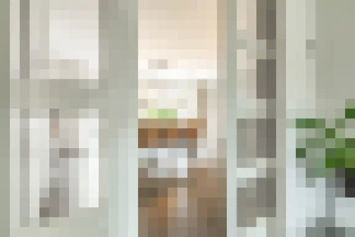Schering 7 Wierden thumbnail 14