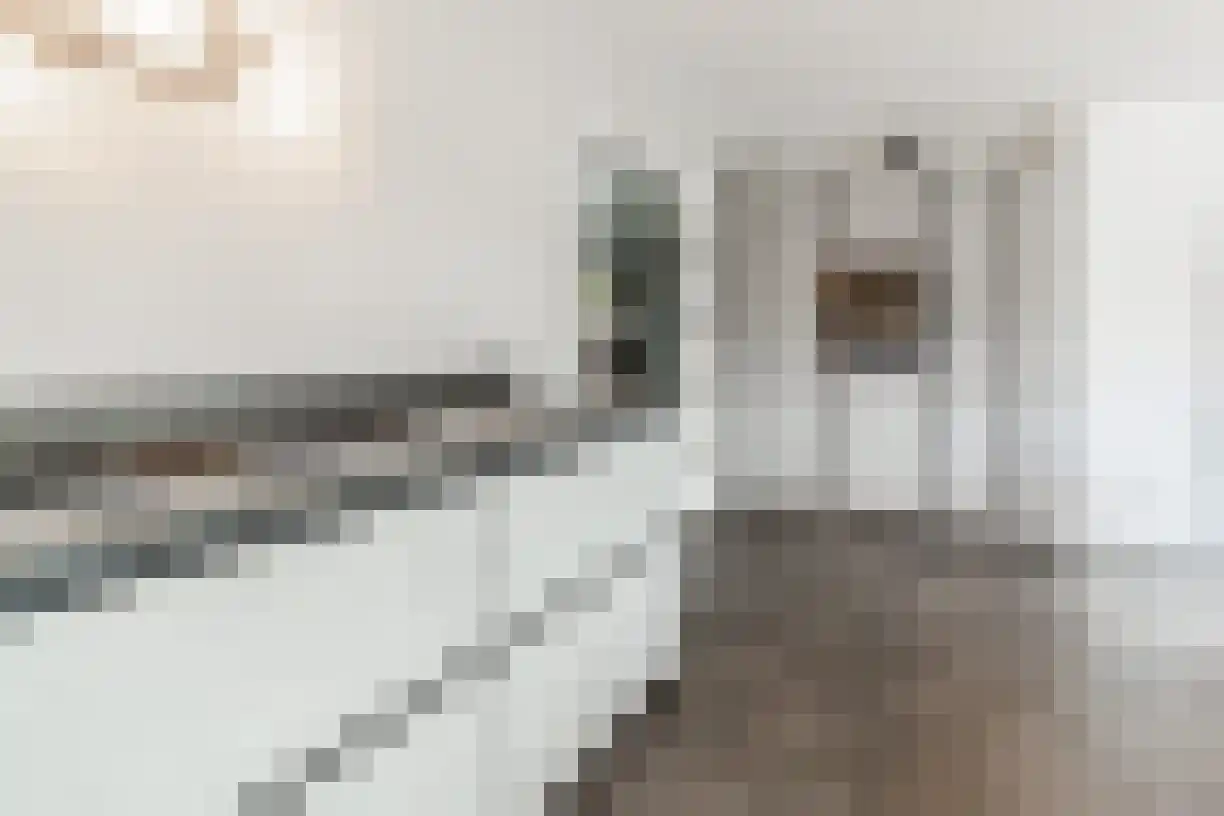 Schering 7 Wierden thumbnail 16