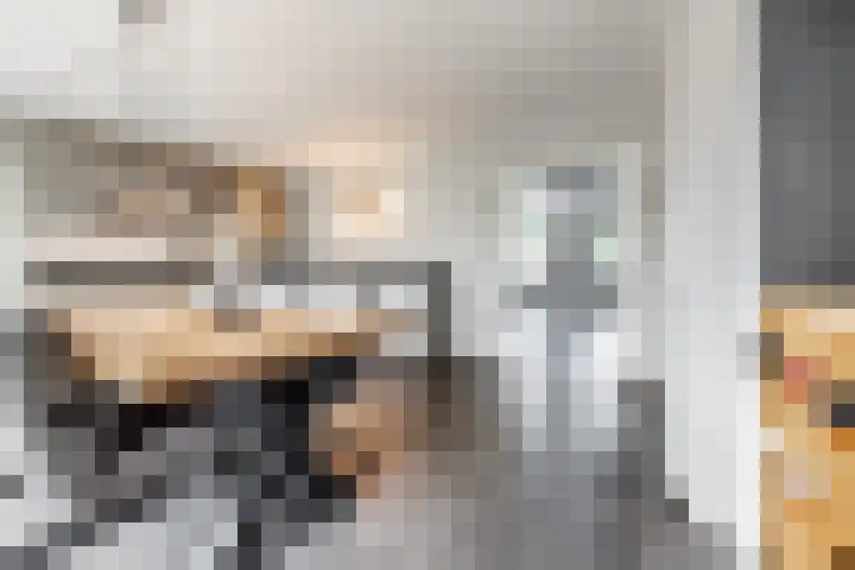 Schering 7 Wierden thumbnail 18