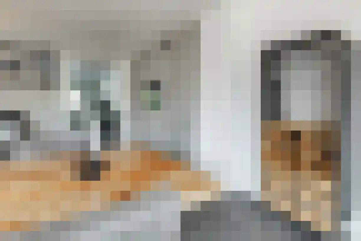 Schering 7 Wierden thumbnail 19