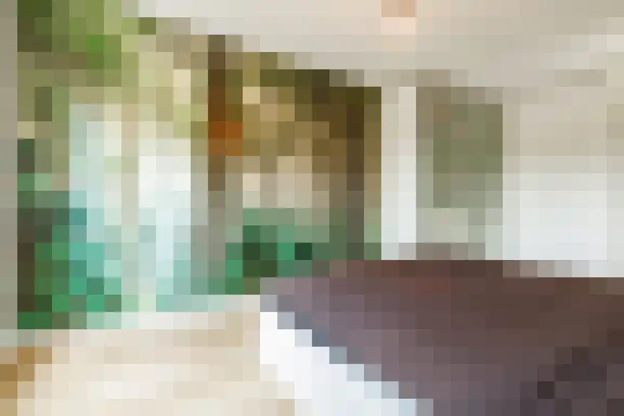 Schering 7 Wierden thumbnail 24