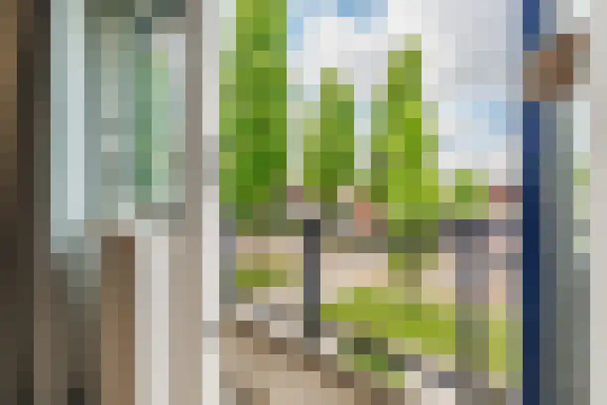 Schering 7 Wierden thumbnail 26