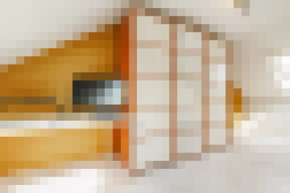 Schering 7 Wierden thumbnail 37