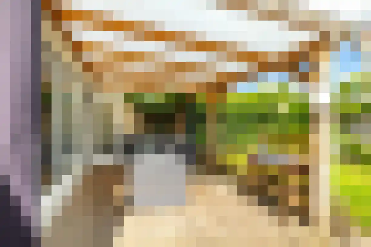 Schering 7 Wierden thumbnail 39
