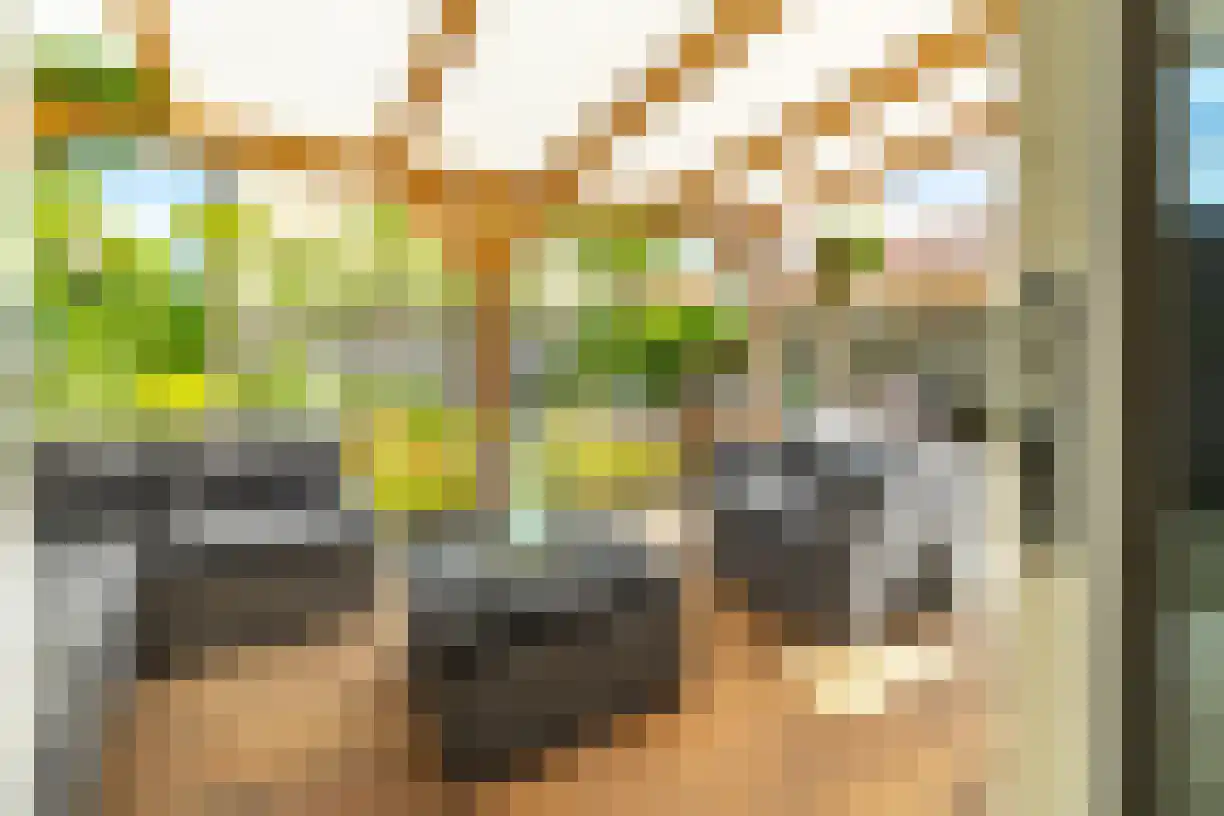 Schering 7 Wierden thumbnail 41