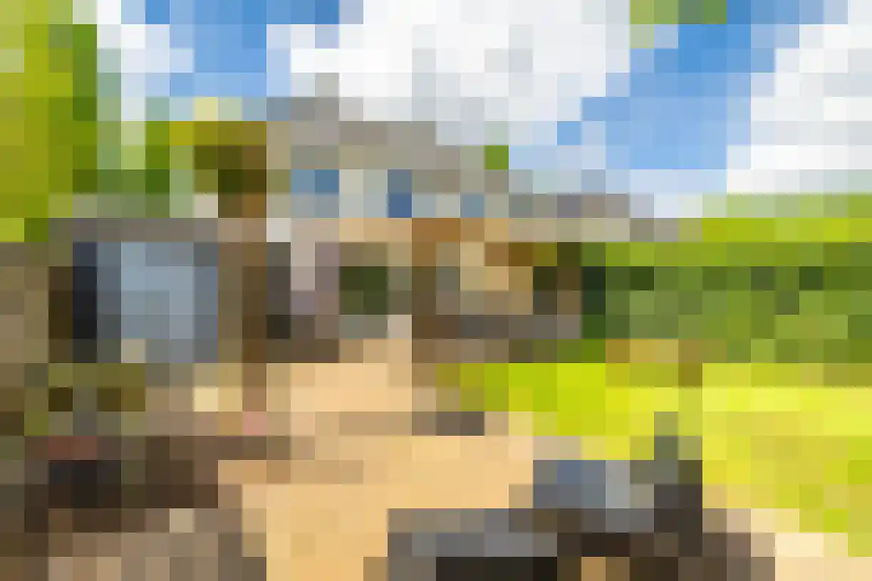 Schering 7 Wierden thumbnail 42