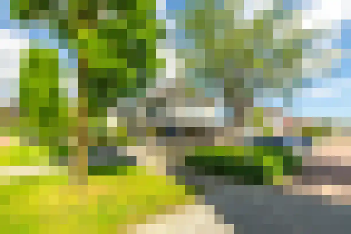 Schering 7 Wierden thumbnail 47