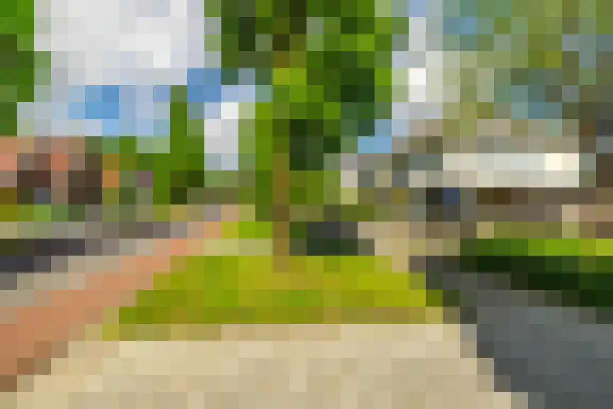 Schering 7 Wierden thumbnail 48